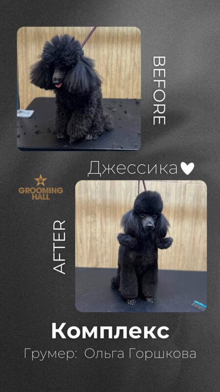 Джессика — до и после