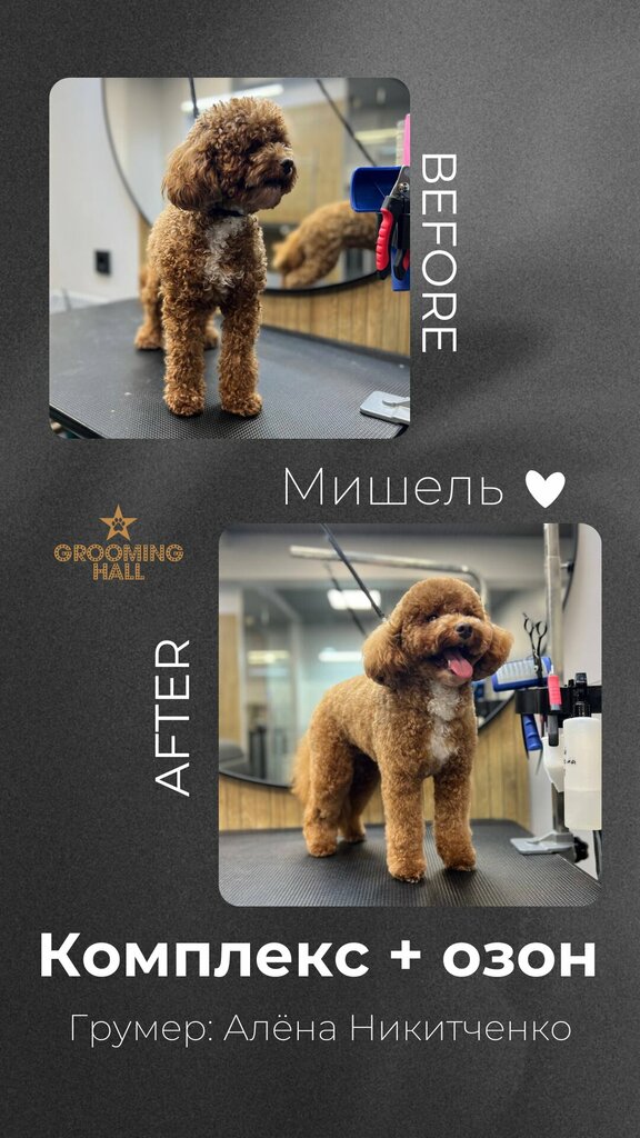 Мишель — до и после